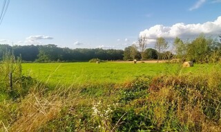 Photo N° 3