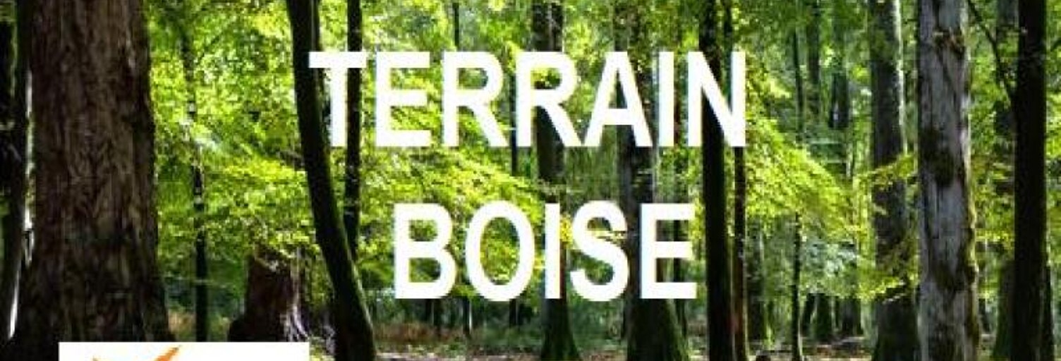 Terrain  3450 m² à vendre à Férel (56130)