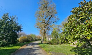 Photo N° 3