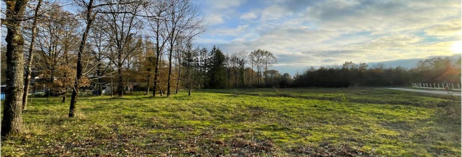 Terrain  990 m² à vendre à Villefranche-sur-Cher (41200)