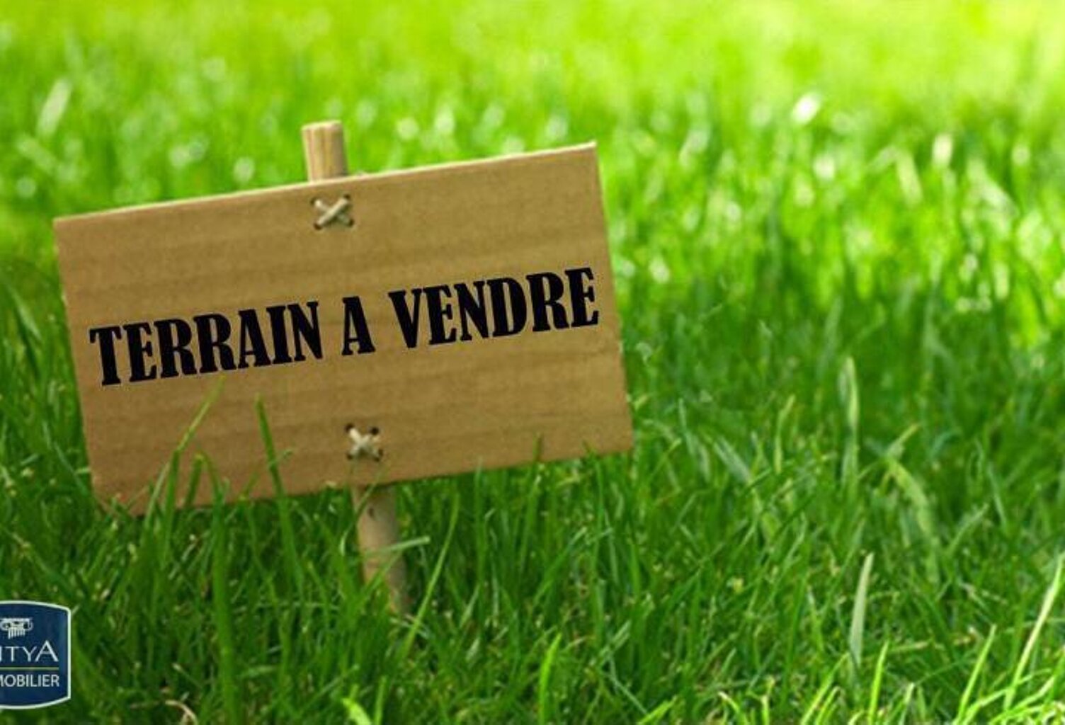 Vente terrain  1000 m² Souzay-Champigny (49400) — photo 1