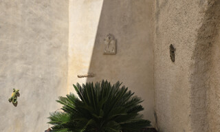 Photo N° 5