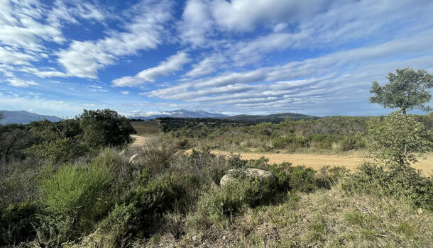 Terrain  à vendre Calmeilles 66400