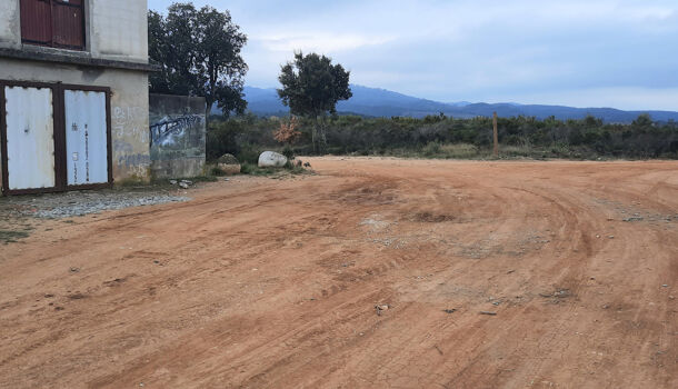 Terrain  à vendre Calmeilles 66400