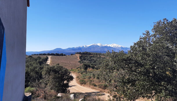 Terrain  à vendre Calmeilles 66400