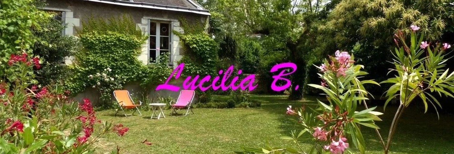 Maison 10 Pièces 299 m² à vendre à Tours (37000)