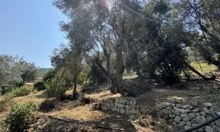 Terrain  900 m² à vendre à Falicon (06950)