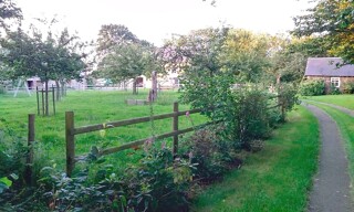 Photo N° 2