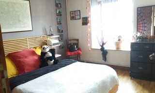 Photo N° 5