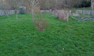 Photo N° 3