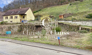 Photo N° 4