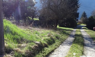 Photo N° 6