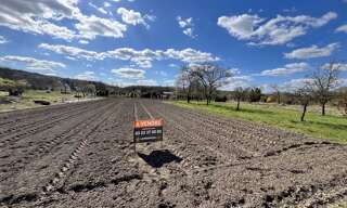 Terrain  1755 m² à vendre à Veslud (02840)