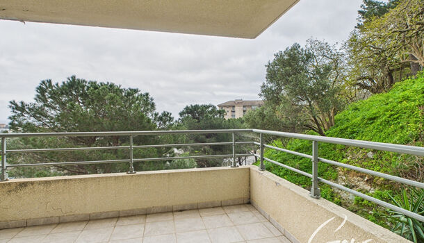 Appartement 3 pièces  à louer Bastia 20200