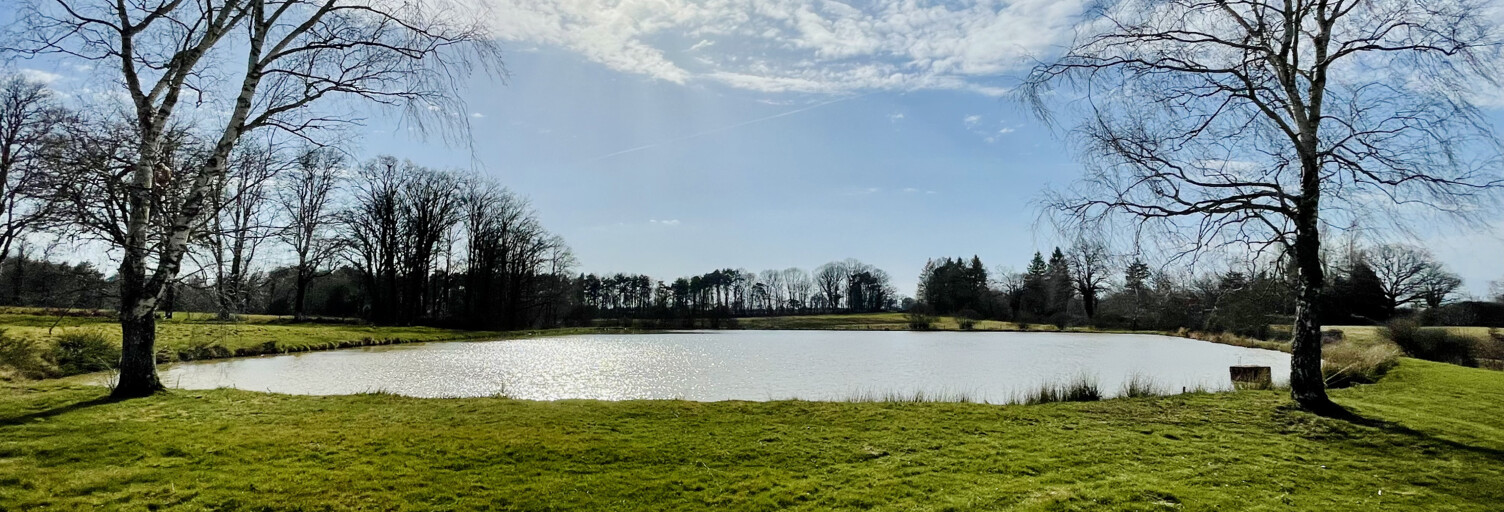 Terrain  29690 m² à vendre à Brillac (16500)