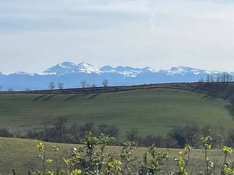 Corps de Ferme de 6 pièces principales — photo 1