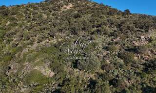 Terrain  24850 m² à vendre à Bormes-les-Mimosas (83230)