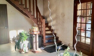 Photo N° 4