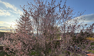 Photo N° 6