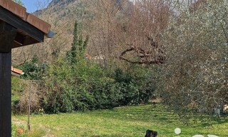 Photo N° 6