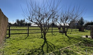 Photo N° 3