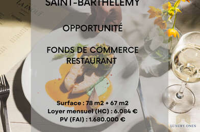 Commerce 5 pièces 1680000 €