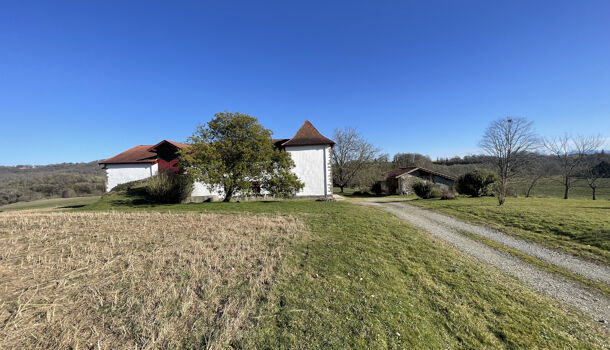 Maison de Village  13 pièces  à vendre Domezain-Berraute 64120