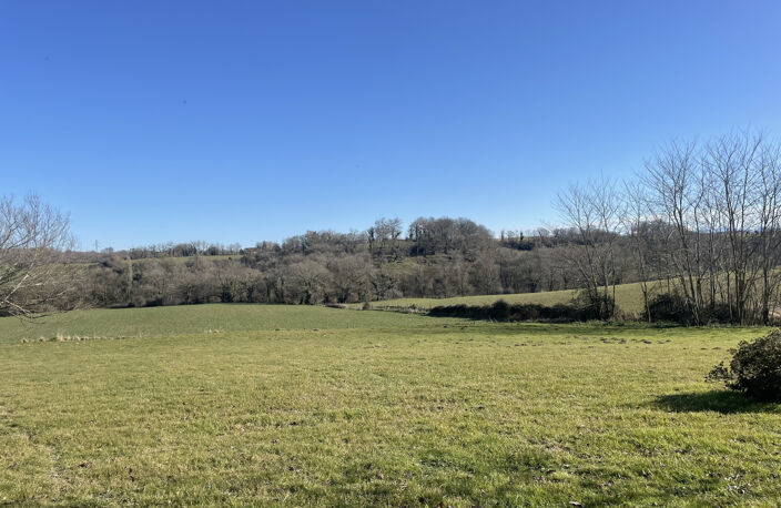Ensemble Immobilier d'exception au coeur du Pays Basque — photo 4