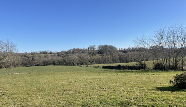 Maison de Village  13 pièces  à vendre Domezain-Berraute 64120