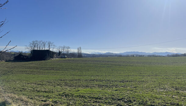 Maison de Village  13 pièces  à vendre Domezain-Berraute 64120