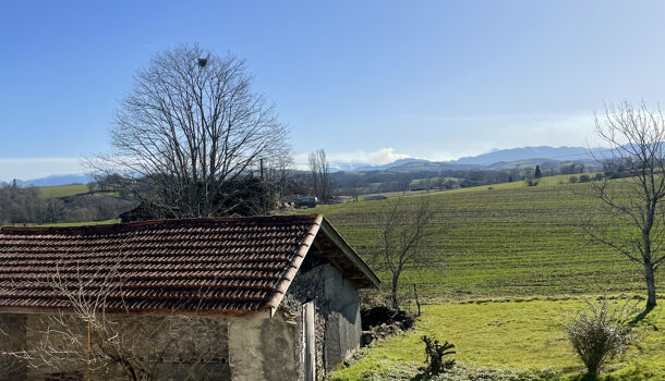 Maison de Village  13 pièces  à vendre Domezain-Berraute 64120