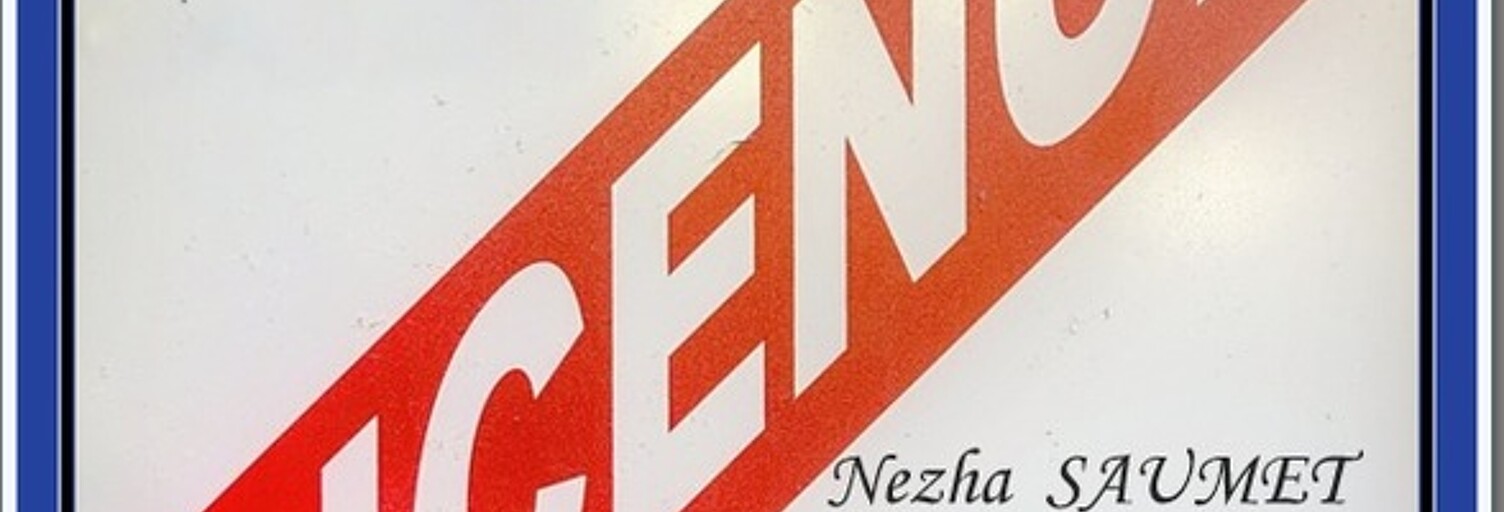 Commerce  1 m² à vendre à Ambilly (74100)