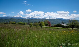 Photo N° 5