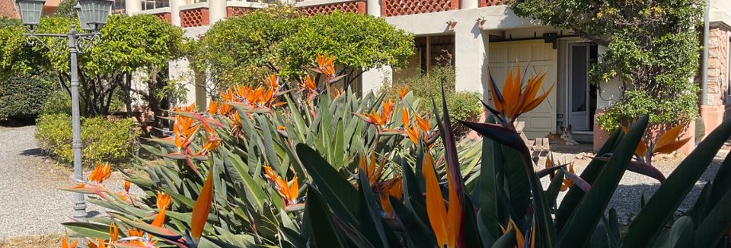 Appartement 3 Pièces 50 m² à louer à Hyères (83400)