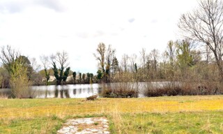 Photo N° 3