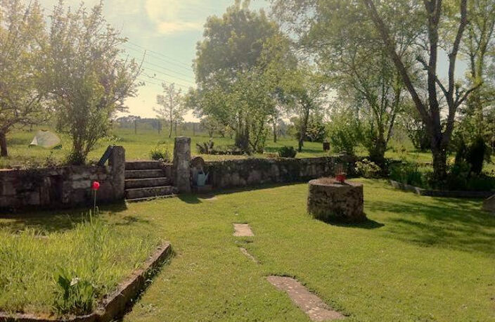 MAISON EN PIERRE DE 220 M2 SUR 3000 M2 -Bazas - GIRONDE (33 — photo 3