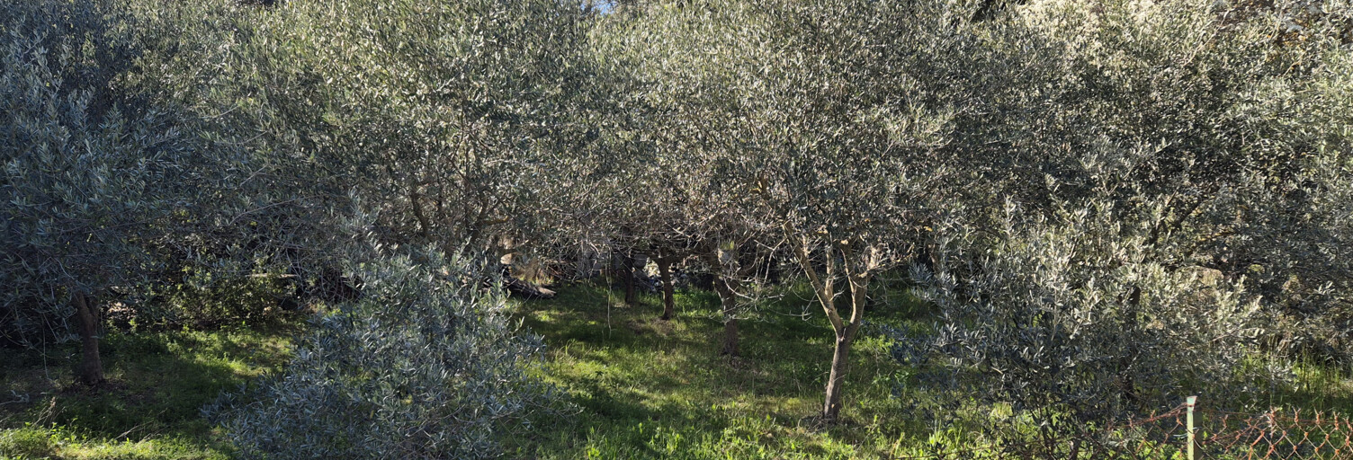 Terrain  445 m² à vendre à Lambesc (13410)