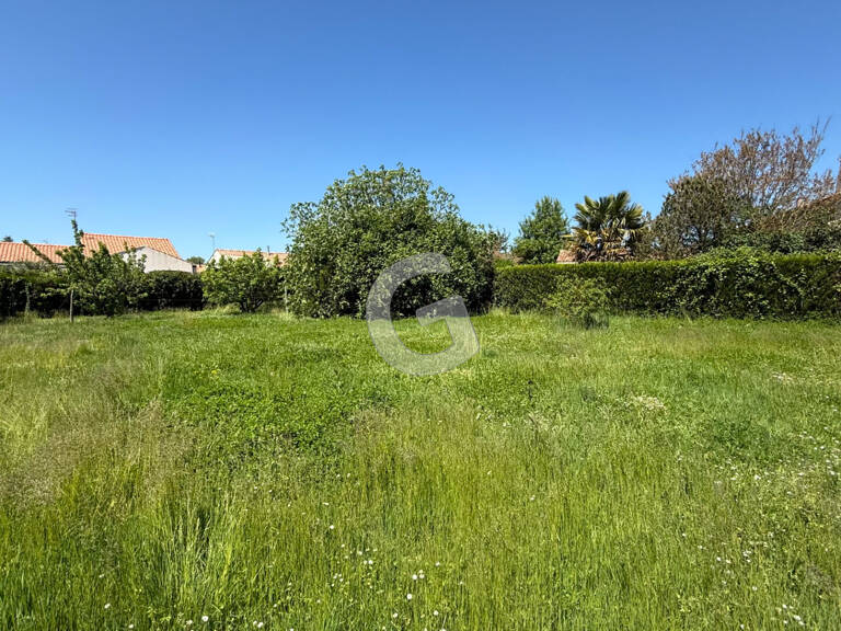 TERRAIN CONSTRUCTIBLE NON VIABILISE A VENDRE LONGEVILLE SUR MER — photo 1
