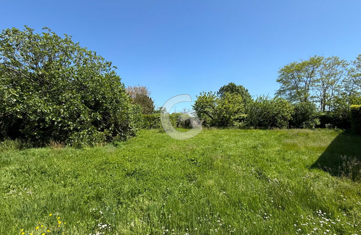 TERRAIN CONSTRUCTIBLE NON VIABILISE A VENDRE LONGEVILLE SUR MER — photo 2