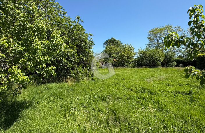 TERRAIN CONSTRUCTIBLE NON VIABILISE A VENDRE LONGEVILLE SUR MER — photo 3