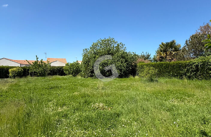 TERRAIN CONSTRUCTIBLE NON VIABILISE A VENDRE LONGEVILLE SUR MER — photo 4