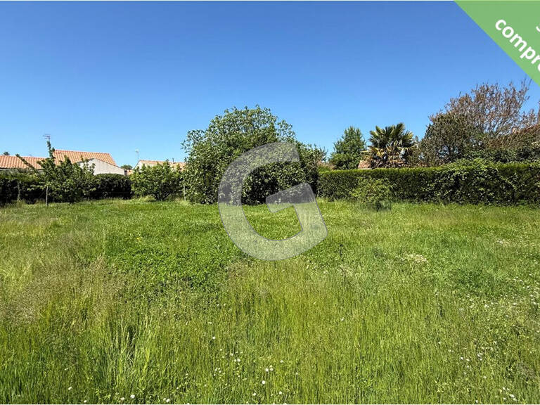 TERRAIN CONSTRUCTIBLE NON VIABILISE A VENDRE LONGEVILLE SUR MER — photo 1