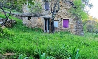 Photo N° 3