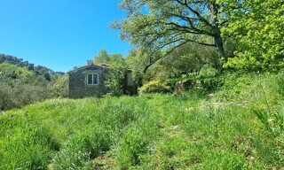 Photo N° 3