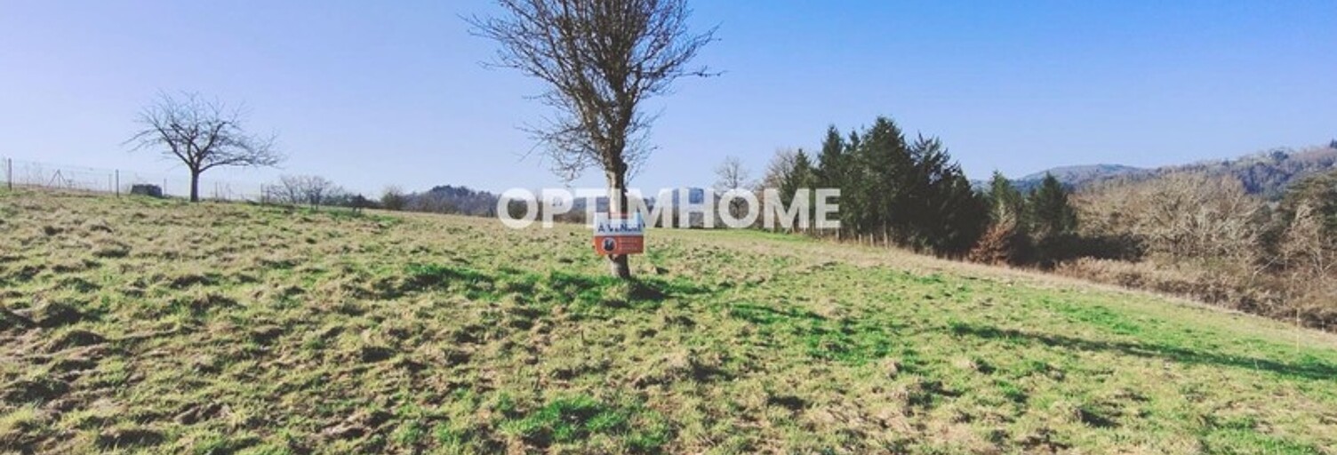 Terrain  1170 m² à vendre à Billom (63160)