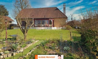 Photo N° 4