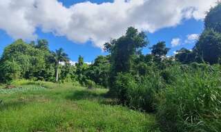 Terrain  15220 m² à vendre à Saint-Claude (97120)