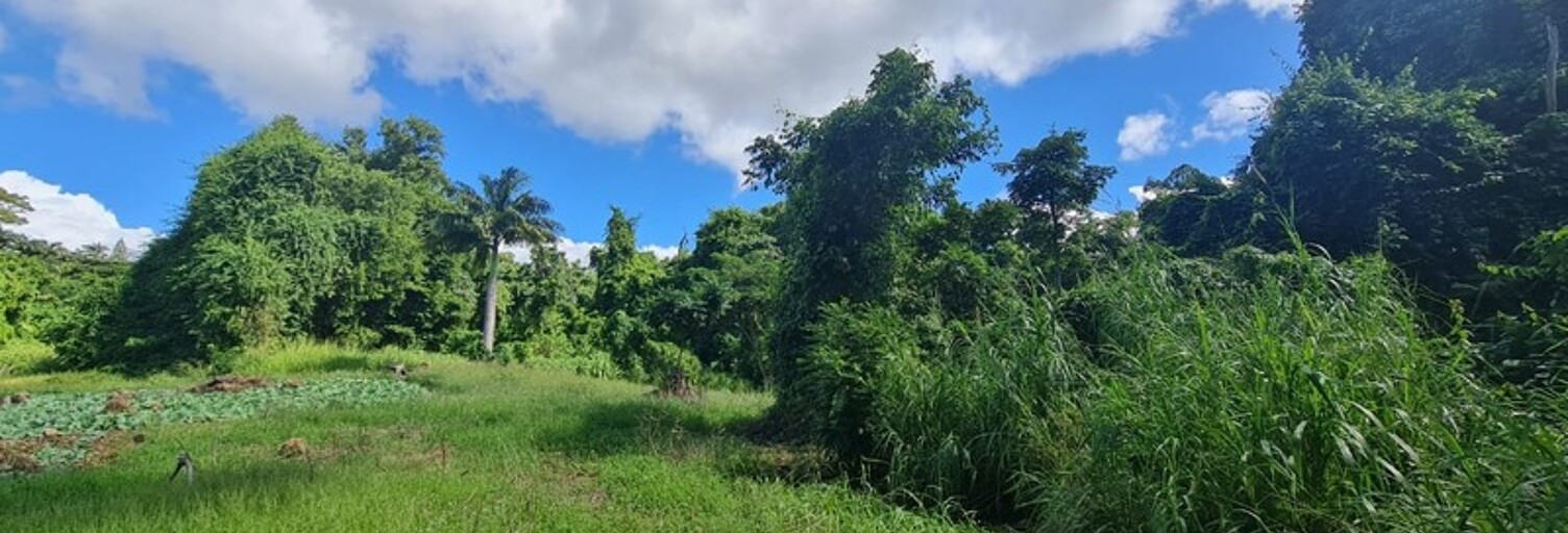 Terrain  15220 m² à vendre à Saint-Claude (97120)