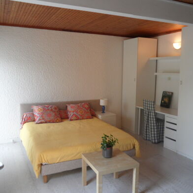 Appartement 1 pièces 650 €