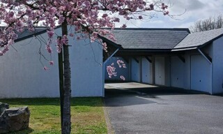 Photo N° 6